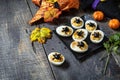 Halloween funny idea for party food. Halloween creative set stuffed eggs with paprica and bat on a wooden table.