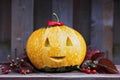 Halloween funny pumpkin with a smile in autumn leaves