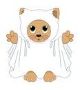 Halloween ghost cat Royalty Free Stock Photo