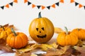 Halloween glitter pumpkin jack o lantern decor with funny faces.yellow ghost pumpkin with witch hat on white wooden borad