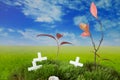 Graves and crosses on the meadow