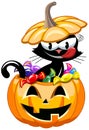 Halloween Greedy Cat bucket sweets isolated Royalty Free Stock Photo