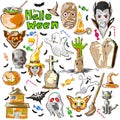 Halloween greeting background decoration Royalty Free Stock Photo