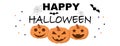 Halloween greeting banner on white background Royalty Free Stock Photo