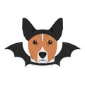 Halloween greeting card. Basenji dog dressed as a bat with black ears and wings