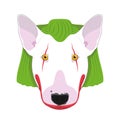 Halloween greeting card. Bull Terrier dog dressed as a scary clown Royalty Free Stock Photo