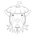 Halloween greeting card for coloring. Argentinian Dogo dog dressed as a pumpkin