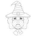 Halloween greeting card for coloring. Cavoodle dog dressed as a witch with hat and scarf