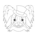 Halloween greeting card for coloring. Papillon dog with top hat and clown makeup