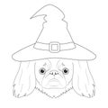 Halloween greeting card for coloring. Pekingese dog dressed as a witch with black hat