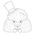 Halloween greeting card for coloring. Poodle dog with top hat, bow tie and several scars