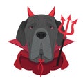 Halloween greeting card. Neapolitan Mastiff dog dressed as a devil with red horns and cape, and a black and red trident Royalty Free Stock Photo