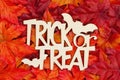 Halloween greeting Trick or Treat with fall leaves