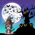 Halloween grey kitten wearing witches hat with tree house in front of full moon