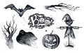 Halloween hand drawing black white graphic set icon, drawn Halloween symbols pumpkin, broom, bat, witches. Horror elements Royalty Free Stock Photo