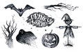 Halloween hand drawing black white graphic set icon, drawn Halloween symbols pumpkin, broom, bat, witches. Horror elements Royalty Free Stock Photo