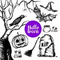 Halloween Hand Drawn Set Royalty Free Stock Photo