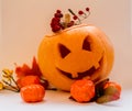 Halloween Royalty Free Stock Photo