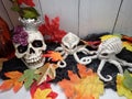 Halloween haunted decoration. Two Octopus' and a princess skull head