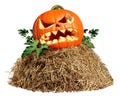 Halloween Hay Pile Royalty Free Stock Photo