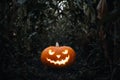 Halloween holiday background. Spooky glowing jack-o-lantern pumpkin on the ground in a cornfield. Royalty Free Stock Photo