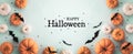 Halloween holiday banner with party decorations from pumpkins and bats on blue background top view. Greeting card Happy Halloween Royalty Free Stock Photo