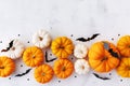 Halloween holiday border with party decorations of pumpkins and bats on white table top view. Happy halloween greeting card Royalty Free Stock Photo