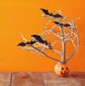 Halloween holiday concept. Cute pumpkin tree with bats Royalty Free Stock Photo
