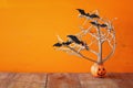 Halloween holiday concept. Cute pumpkin tree with bats Royalty Free Stock Photo