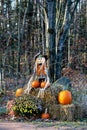 Halloween holiday display consisting of mums, pumpkins, hay bales and scare crows in Wisconsin Royalty Free Stock Photo