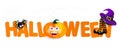 Halloween holiday horizontal banner with pumpkin face, witch striped legs seating on the text or letter, black spider Royalty Free Stock Photo