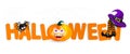 Halloween holiday horizontal banner with pumpkin face, witch striped legs seating on the text or letter, black spider, spiderweb Royalty Free Stock Photo