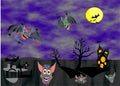 Halloween - a holiday of vampires, witches, ghosts and other evil spirits