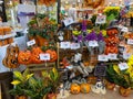 The Halloween home decor aisle in the floral department at a Schnucks grocery store