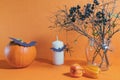 Halloween home decorations on orange background