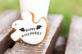 Halloween homemade gingerbread and honey cookies as a white gho