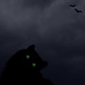 Halloween horizontal background with black cat with green eyes, silhouettes of bats Royalty Free Stock Photo