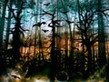 Halloween horror forest with bats - dark scenery