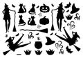 Halloween icons in flat style. There are witch, hat, cat, boiler, fire, bonfire, pumpkin, broom.