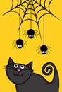 Halloween illustration with black cat looking a spiders in top Royalty Free Stock Photo