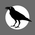 Halloween illustration of a black crow on the white circle as sticker
