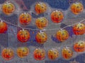 Halloween illustration. Pumpkins with pontillism background Royalty Free Stock Photo