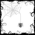 Halloween illustration - spider web