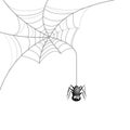 Halloween illustration - spider web