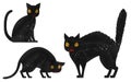 Halloween Illustrations: Black Cat Set, Intimidation and Fear, Normal Heart