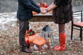 Halloween inspiration. Autumn still life. pumpkin, dry roses, viburnum honey cake. in a vase. twigs. Mr. and Miss