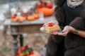 Halloween inspiration. cake in hands. Autumn still life. pumpkin, dry roses, viburnum honey . in a vase. twigs. on the