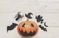 Halloween. jack lantern pumpkin with witch ghost bats and spider Royalty Free Stock Photo