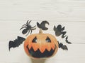 Halloween. jack lantern pumpkin with witch ghost bats and spider Royalty Free Stock Photo