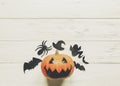 Halloween. jack lantern pumpkin with witch ghost bats and spider Royalty Free Stock Photo